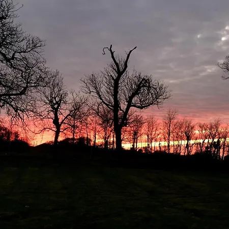 Romantic Rural Break In Countryside Castle Grounds Private Retreat Wizards Rest Bishops Tawton Exterior photo